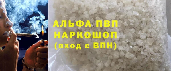 стаф Ладушкин